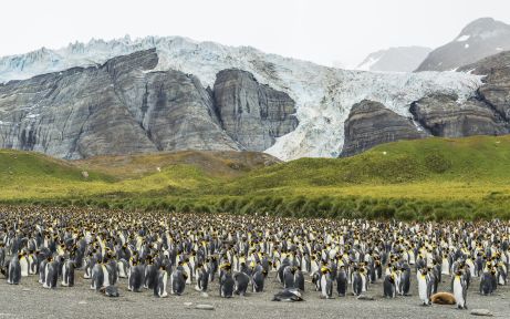 Falkland Islands, South Georgia & Antarctica