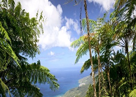 Point-a-Pitre, Guadeloupe